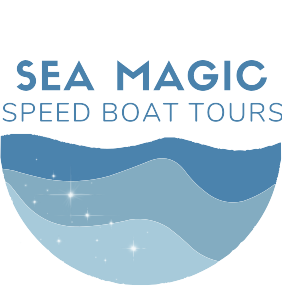 sea magic logo